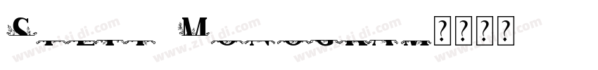 Split Monogram字体转换 Split Monogram字体转换